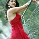 Kajol Aggarwal