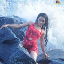 Nikita Rawal