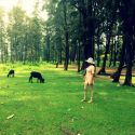 Poonam Pandey at Alibaug