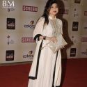 18th Colors Screen Awards 2012