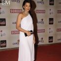 18th Colors Screen Awards 2012