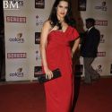 18th Colors Screen Awards 2012
