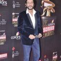19th Annual Colors Screen Awards
