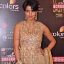 19th Annual Colors Screen Awards