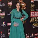 19th Annual Colors Screen Awards