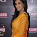 19th Annual Colors Screen Awards