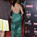 19th Annual Colors Screen Awards
