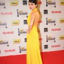 58th Filmfare Awards 2013