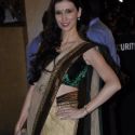 Filmfare Awards 2013