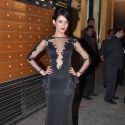 Filmfare Awards 2013
