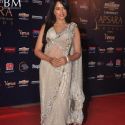 7th Chevrolet Apsara Film and Television Producers