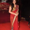 Balaji Global Indian Film and TV Awards
