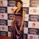 Big Star Entertainment Awards 2011