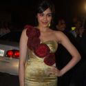 Filmfare Awards 2009 Red Carpet