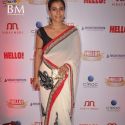 Hello Hall of Fame Awards 2011
