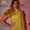 Hello Hall of Fame Awards 2011