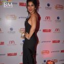 Hello Hall of Fame Awards 2011