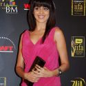 International Indian Film Academy Awards