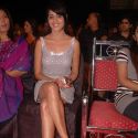 Max Stardust Awards
