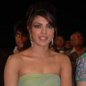 Max Stardust Awards