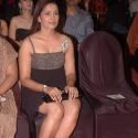 Max Stardust Awards