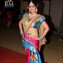 Mi Marathi Awards 2011
