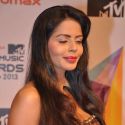 Celebs at 'MTV Video Music Awards India 2013'