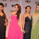 Celebs at 'MTV Video Music Awards India 2013'