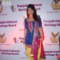 Punjabi Icon Awards