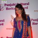 Punjabi Icon Awards