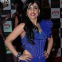 Radio Mirchi Awards 2012