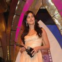 South Filmfare Awards