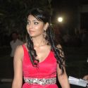 South Filmfare Awards