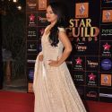 Star Guild Awards 2013 Red Carpet