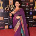 Star Guild Awards 2013 Red Carpet