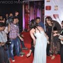 Stardust Awards 2013