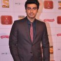Stardust Awards 2013