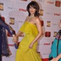 Stardust Awards 2013