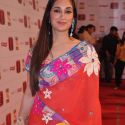 Stardust Awards 2013