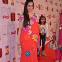 Stardust Awards 2013