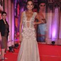 Stardust Awards 2013