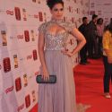 Stardust Awards 2013