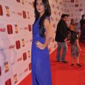Stardust Awards 2013