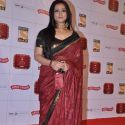 Stardust Awards 2013