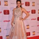 Stardust Awards 2013