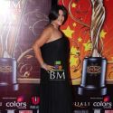 The Global Indian Film & TV Honours 2011