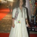 The Global Indian Film & TV Honours 2011