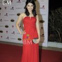 The Global Indian Film & TV Honours 2011
