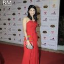 The Global Indian Film & TV Honours 2011