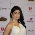 The Global Indian Film & TV Honours 2011